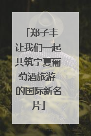 郑子丰 让我们一起共筑宁夏葡萄酒旅游 的国际新名片