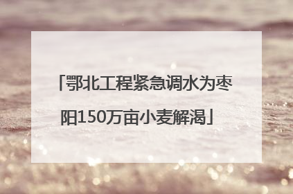鄂北工程紧急调水为枣阳150万亩小麦解渴