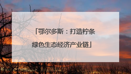 鄂尔多斯：打造柠条绿色生态经济产业链