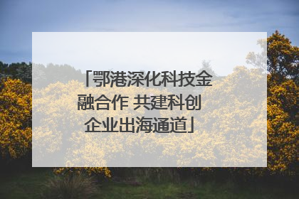 鄂港深化科技金融合作 共建科创企业出海通道