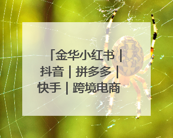 金华小红书|抖音|拼多多|快手|跨境电商店铺垫资贷款企业-漫商易