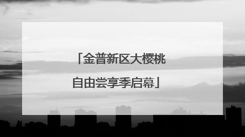 金普新区大樱桃自由尝享季启幕