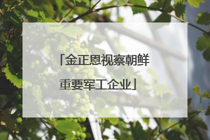 金正恩视察朝鲜重要军工企业