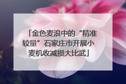 金色麦浪中的“精准较量”石家庄市开展小麦机收减损大比武
