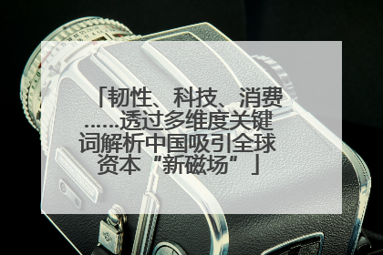 韧性、科技、消费……透过多维度关键词解析中国吸引全球资本“新磁场”