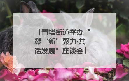 青塔街道举办“凝‘新’聚力·共话发展”座谈会