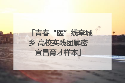 青春“医”线牵城乡 高校实践团解密宜昌育才样本