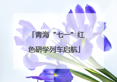 青海“七一”红色研学列车启航