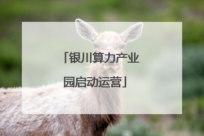 银川算力产业园启动运营