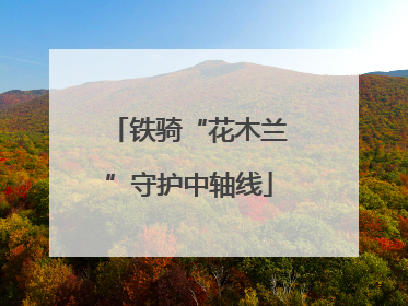 铁骑“花木兰”守护中轴线