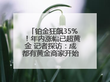 铂金狂飙35%！年内涨幅已超黄金 记者探访：成都有黄金商家开始转战铂金