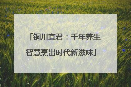铜川宜君：千年养生智慧烹出时代新滋味