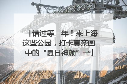错过等一年！来上海这些公园，打卡莫奈画中的“夏日神颜”→