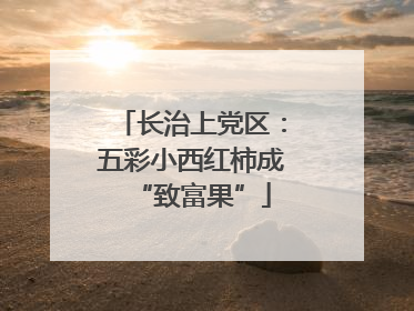 长治上党区：五彩小西红柿成“致富果”