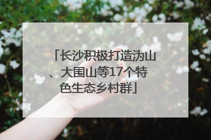 长沙积极打造沩山、大围山等17个特色生态乡村群
