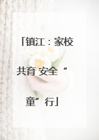 镇江：家校共育 安全“童”行