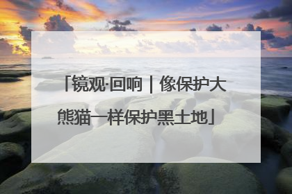 镜观·回响｜像保护大熊猫一样保护黑土地