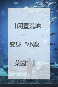 闲置荒地变身“小鹿菜园”