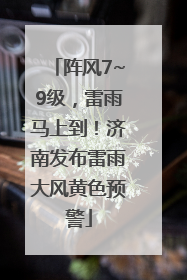 阵风7~9级，雷雨马上到！济南发布雷雨大风黄色预警