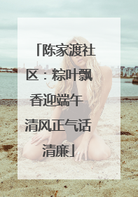 陈家渡社区：粽叶飘香迎端午 清风正气话清廉