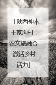 陕西神木王家沟村：农文旅融合 激活乡村活力