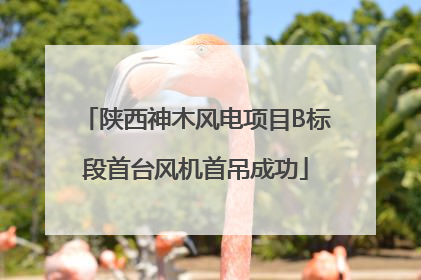 陕西神木风电项目B标段首台风机首吊成功