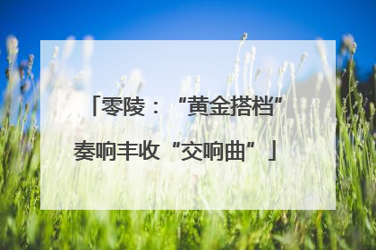 零陵：“黄金搭档”奏响丰收“交响曲”