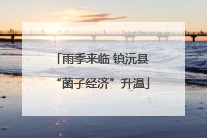 雨季来临 镇沅县“菌子经济”升温