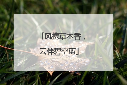 风携草木香，云伴碧空蓝
