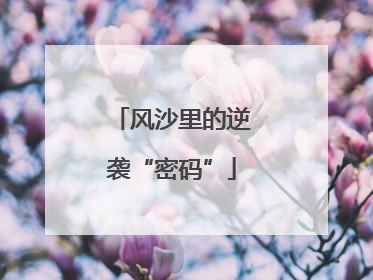 风沙里的逆袭“密码”