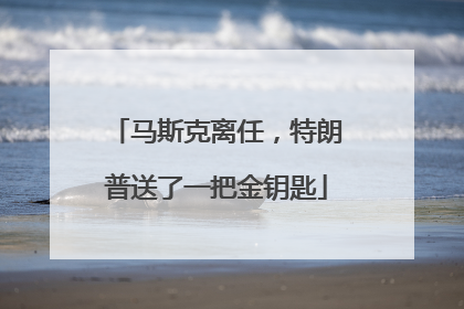 马斯克离任，特朗普送了一把金钥匙