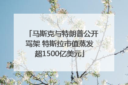 马斯克与特朗普公开骂架 特斯拉市值蒸发超1500亿美元