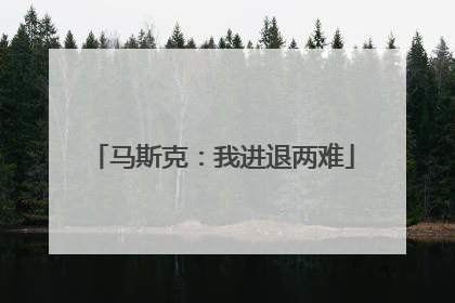 马斯克：我进退两难