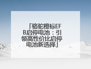 骆驼橙标EFB启停电池：引领高性价比启停电池新选择