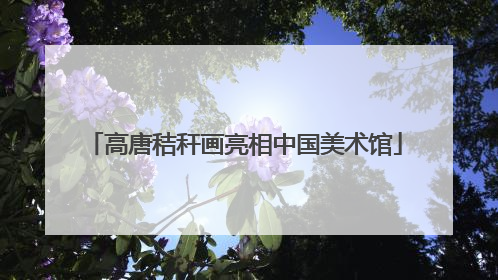 高唐秸秆画亮相中国美术馆