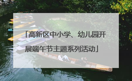 高新区中小学、幼儿园开展端午节主题系列活动
