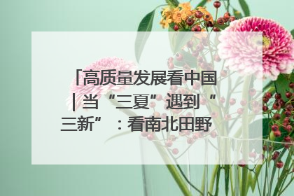 高质量发展看中国｜当“三夏”遇到“三新”：看南北田野里的科技共生记