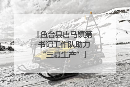 鱼台县唐马镇第一书记工作队助力“三夏生产”