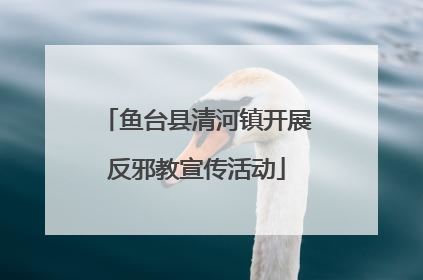 鱼台县清河镇开展反邪教宣传活动