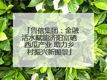 鲁信集团：金融活水赋能济阳富硒西瓜产业 助力乡村振兴新图景