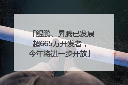 鲲鹏、昇腾已发展超665万开发者，今年将进一步开放