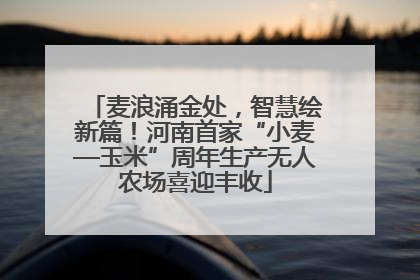 麦浪涌金处，智慧绘新篇！河南首家“小麦—玉米”周年生产无人农场喜迎丰收