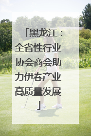 黑龙江：全省性行业协会商会助力伊春产业高质量发展