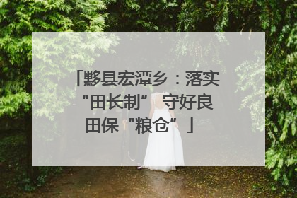 黟县宏潭乡：落实“田长制” 守好良田保“粮仓”