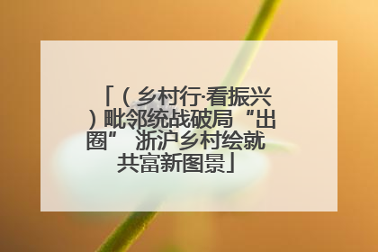 （乡村行·看振兴）毗邻统战破局“出圈” 浙沪乡村绘就共富新图景