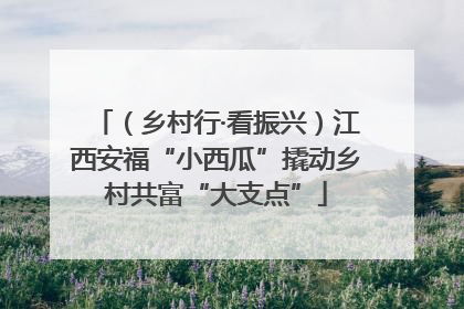 （乡村行·看振兴）江西安福“小西瓜”撬动乡村共富“大支点”