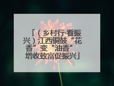 （乡村行·看振兴）江西铜鼓“花香”变“油香” 增收致富促振兴