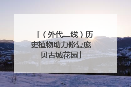 （外代二线）历史植物助力修复庞贝古城花园
