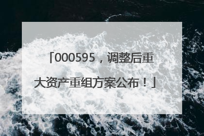 000595，调整后重大资产重组方案公布！