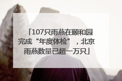107只雨燕在颐和园完成“年度体检”，北京雨燕数量已超一万只